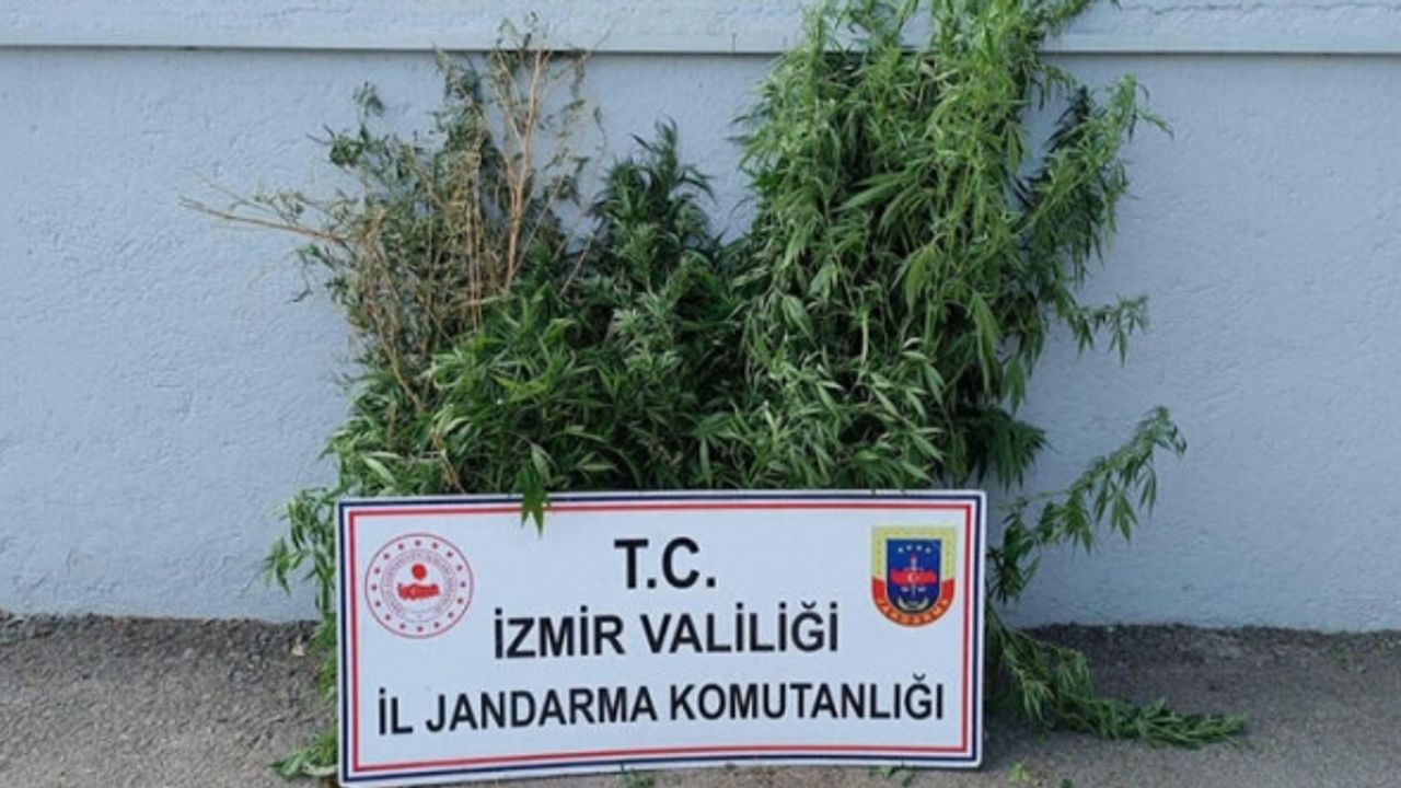 İzmir'de jandarmadan dev uyuşturucu operasyonu!
