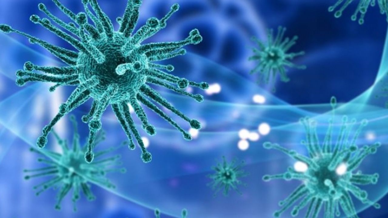 Prof. Dr. Somer: Bol virüslü çok zor bir kış geçireceğiz