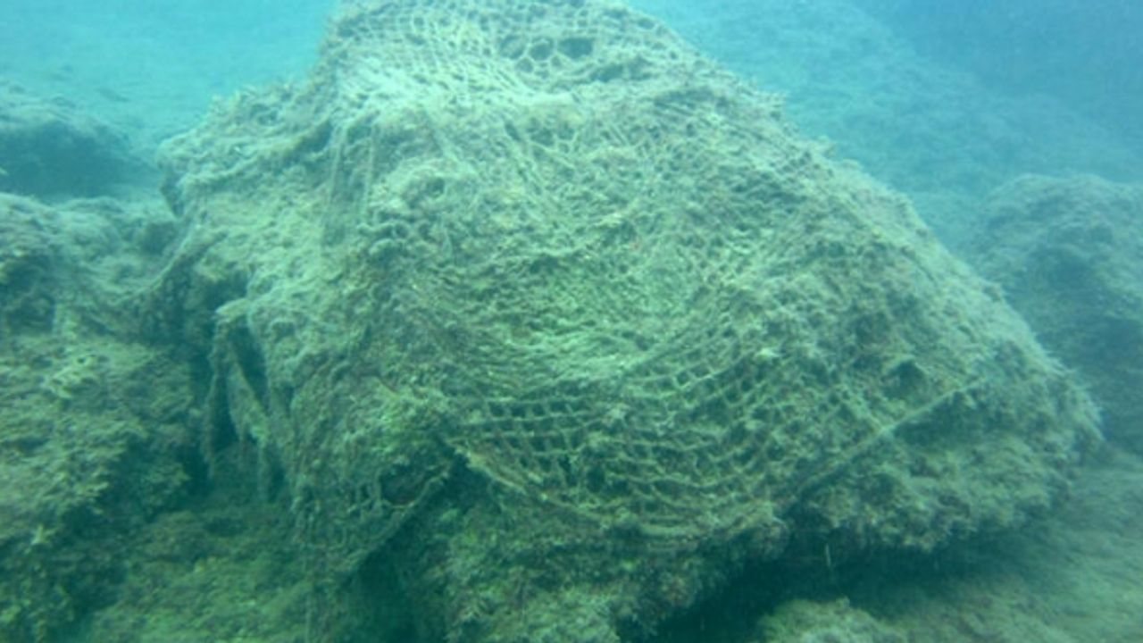 ‘Hayalet ağ’lar deniz ekosistemine zarar veriyor