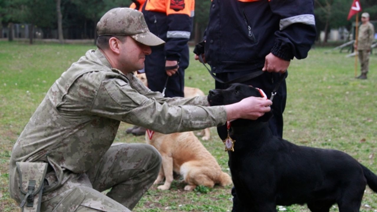 TSK’nın arama köpekleri enkazdan 78 kişiyi kurtardı; 'kahramanlar' madalya ile ödüllendirildi