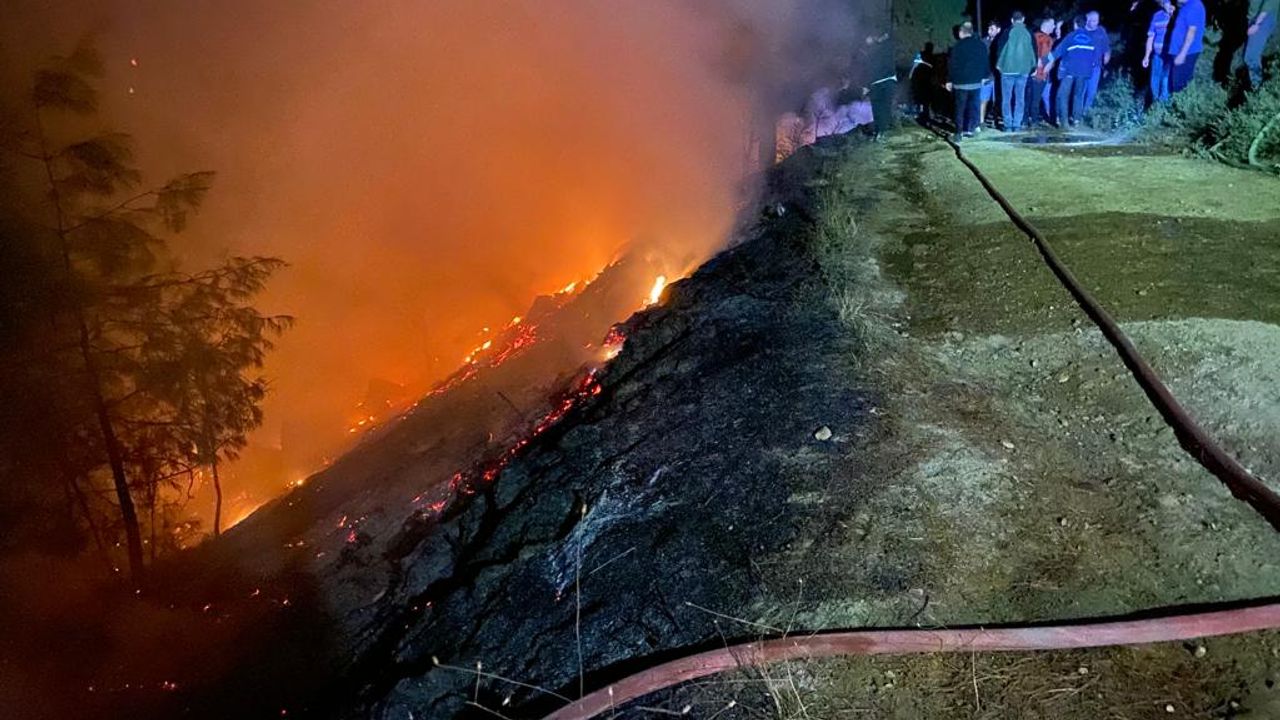 Muğla'da orman yangını: Çok sayıda ekip müdahale ediyor!