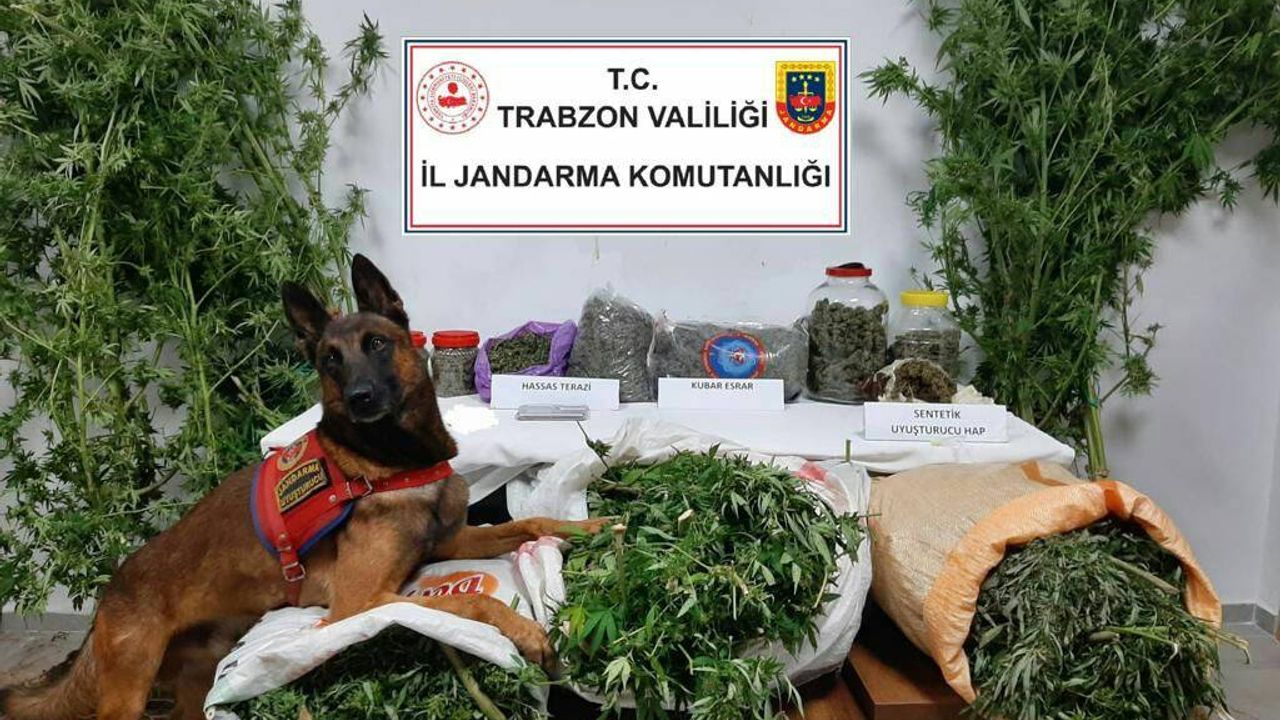 Trabzon'da uyuşturucuya geçit yok: 5 gözaltı
