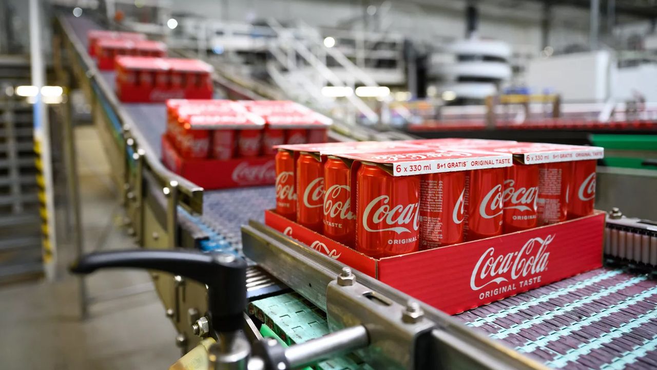 Coca Cola yatırım teşvik belgesi haberleri doğru mu?