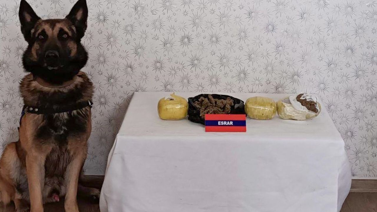 Bolu'da bebek maması kutusuna gizlenmiş uyuşturucu ele geçirildi
