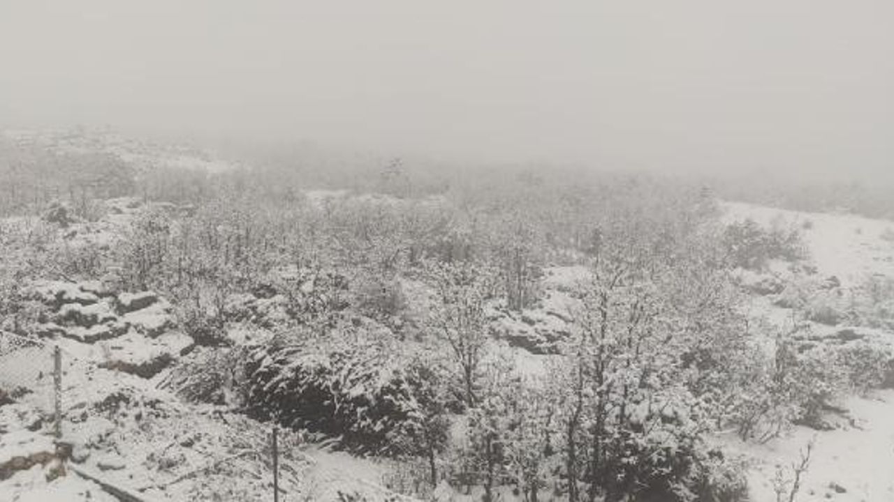 Diyarbakır'da kar yağışı
