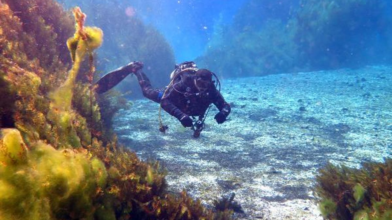 'Doğal akvaryum’ Gökpınar Gölü'ne eksi 7 derecede irtifa dalışı