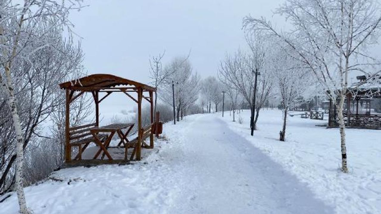 Sibirya soğuklarının etkisindeki Ardahan'da ağaçlar kırağı tuttu