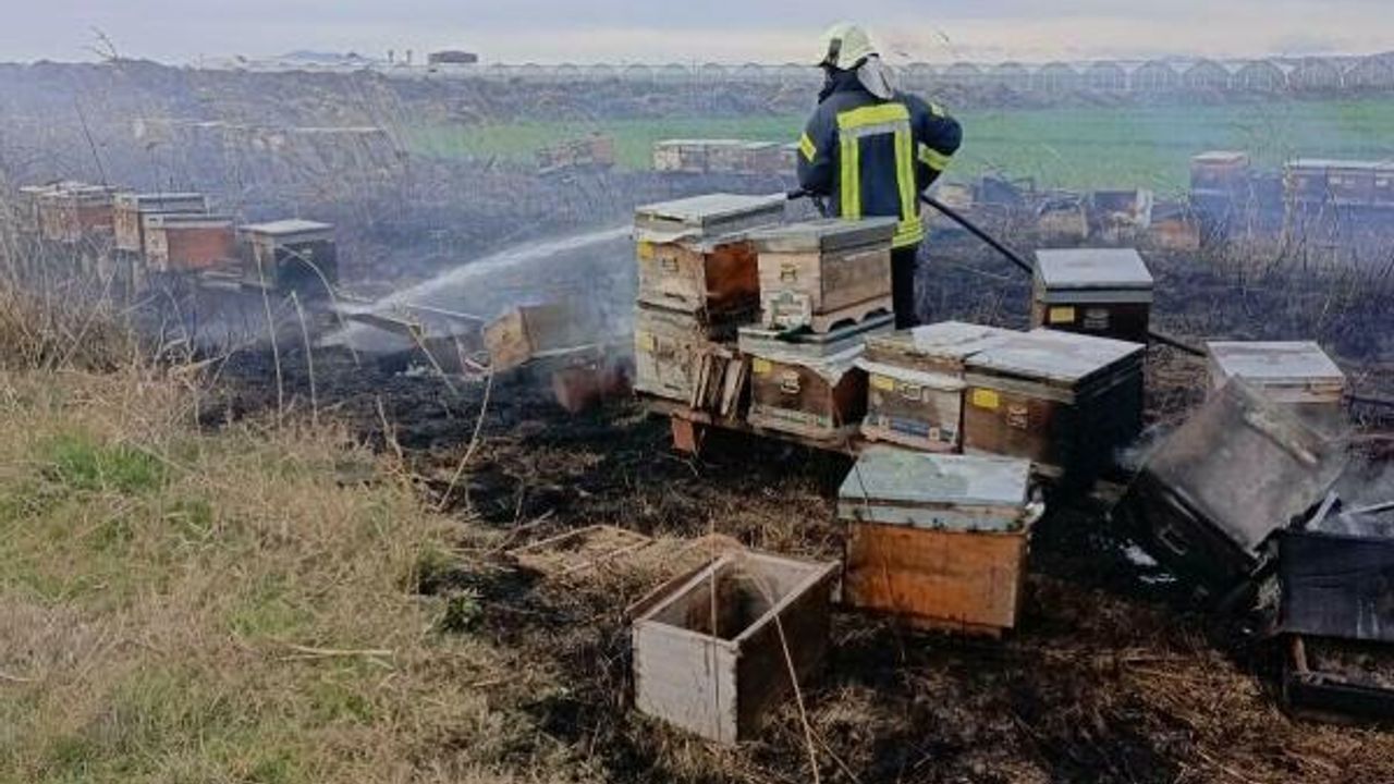 Ot yangınında alevler kovanlara sıçradı, binlerce arı öldü