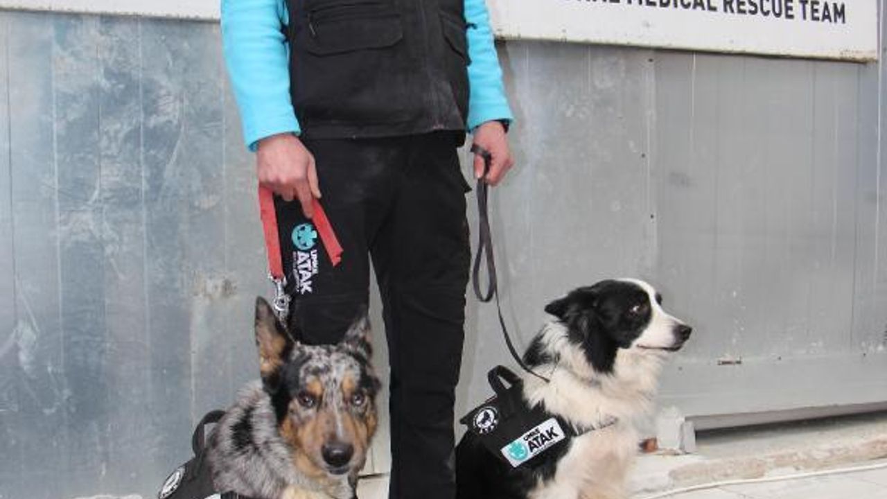 UMKE’nın arama kurtarma köpekleri 'Buddy' ve 'Shollie'