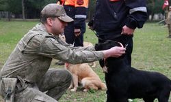 TSK’nın arama köpekleri enkazdan 78 kişiyi kurtardı; 'kahramanlar' madalya ile ödüllendirildi