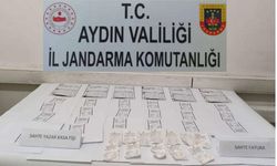 Aydın'da dolandırıcılık operasyonu: 1 gözaltı