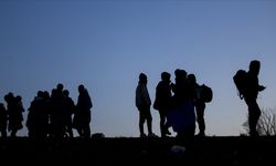 Şanlıurfa'da 133 düzensiz göçmen yakalandı: 9 tutuklama