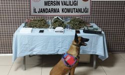 Mersin'de uyuşturucu tacirlerine geçit yok!