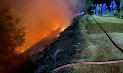 Muğla'da orman yangını: Çok sayıda ekip müdahale ediyor!