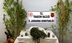 Trabzon'da uyuşturucu operasyonu: 3 gözaltı