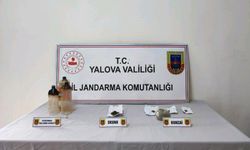 Yalova’da çadırda uyuşturucu yetiştiren zanlı tutuklandı