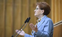 Akşener'den 'Müstakil' İYİ Parti açıklaması: Artık bizi gül bahçeleri beklemiyor