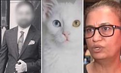 Dolandırıcılar hayvansever kadını, kedi fotoğrafı ile kandırıp 28 yıllık birikiminden etti