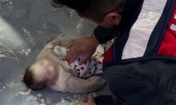 Kalbi duran 4 aylık bebeği Jandarma hayata döndürdü