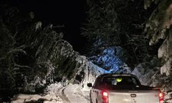 Karabük'te fırtına direkleri devirdi: 18 köye elektrik verilemiyor
