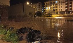 Lapseki'de sağanak nedeniyle mahalleleri su bastı