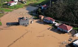 Sakarya Nehri taştı, tarım arazileri sular altında kaldı