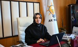 AK Parti Grup Başkanvekili Usta, AA'nın "Yılın Kareleri" oylamasına katıldı: