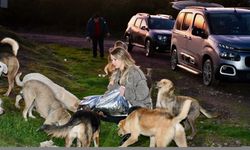 Kocaeli'de duyarlı esnaf soğuk havalarda sahipsiz hayvanları unutmuyor