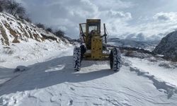 Malatya'da 28 mahalle yolu kar nedeniyle ulaşıma kapandı