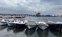 Marmara'da umduğunu bulamayan Tekirdağlı balıkçılar Karadeniz'e ağ atıyor