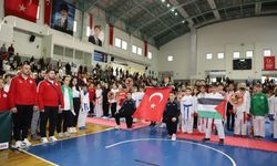 Sakarya'da "Şehit Ali Gaffar Okkan İller Arası Karate Turnuvası" düzenlendi