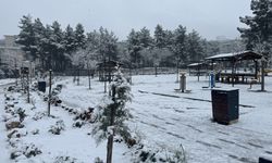 Siirt, Şırnak, Elazığ ve Bingöl'de kar nedeniyle 99 köy ve mezraya ulaşım sağlanamıyor