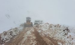 Siirt'te karda mahsur kalan araçlardaki 15 kişi kurtarıldı