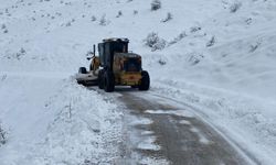 Van, Muş, Bitlis ve Hakkari'de 381 yerleşim birimine ulaşım sağlanamıyor