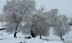 Van, Muş ve Hakkari'de kar nedeniyle 72 yerleşim birimine ulaşım sağlanamıyor