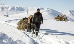 Van'da karla kaplı köylerdeki besiciler zor şartlarda hayvanlarını besliyor