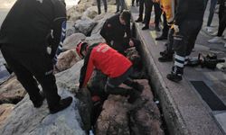 Bandırma'da kayalıklara sıkışan çocuğu itfaiye ekibi kurtardı