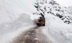 Hakkari'de 2 köyün yolu çığ nedeniyle kapandı