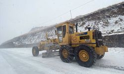 Kar nedeniyle kapatılan Kars-Ardahan kara yolu ulaşıma açıldı
