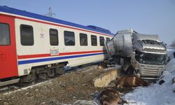 Muş'ta hemzemin geçitte trenin çarptığı tırdaki 2 kişi öldü