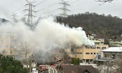 Beykoz'da kibrit fabrikasında çıkan yangın söndürüldü