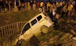 Düzce'de hafif ticari araç at arabasına çarptı: 5 yaralı