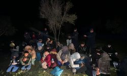 Jandarmadan göçmen kaçakçılarına operasyon