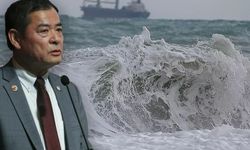 Japon deprem uzmanın uyardı! Türkiye'de tsunami 3 metreye kadar çıkabilir