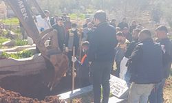 Almanya'daki cinayet şüphesi Mardin'de mezar açtırdı