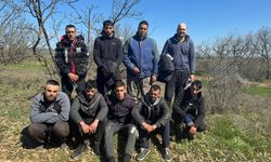 Edirne’de kaçak göçmenler Jandarmadan kaçamadı