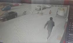 Erzincan'da ilkokul öğrencisine köpek saldırısı kamerada