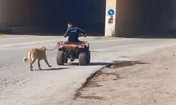 Köpeği ATV'ye bağlayıp dakikalarca sürükledi