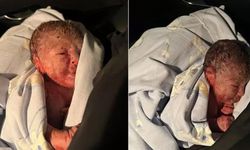 Ağlama sesleri ele verdi: Pendik'te yeni doğmuş bir bebek bulundu!