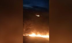Rize'de orman yangını: 5 saatte söndürüldü